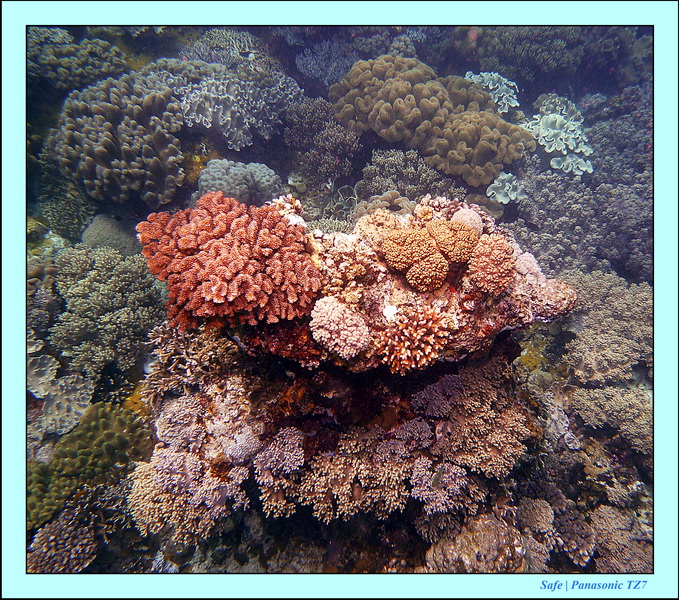 2012 - 07 - Apoh Island 60